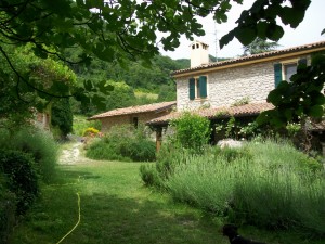 Giardino chiesa di Ignano